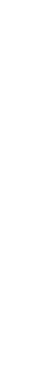 考过鸟